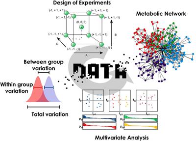 Why do we need to go beyond overall biological variability assessment in metabolomics?